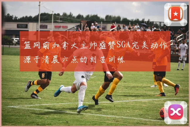 篮网前加拿大主帅盛赞SGA完美动作源于清晨六点的刻苦训练