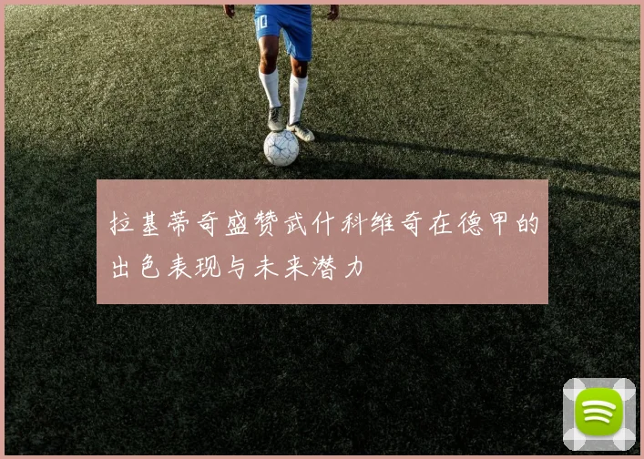 拉基蒂奇盛赞武什科维奇在德甲的出色表现与未来潜力