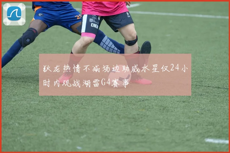 狄龙热情不减场边助威水星仅24小时内观战湖雷G4赛事